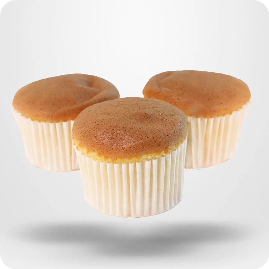 Multidrop-Cookies-Cake-Depositor-Machine-6